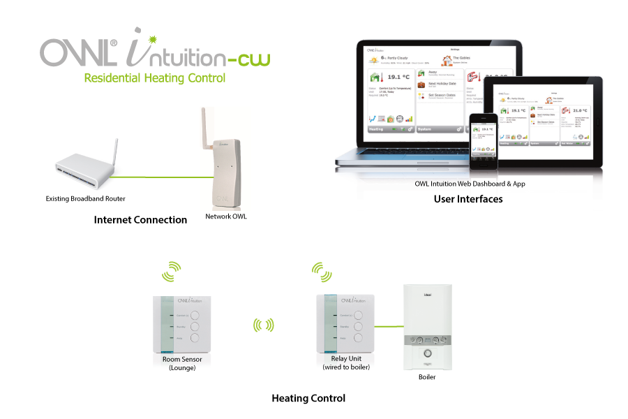 Intuition -cw Diagram